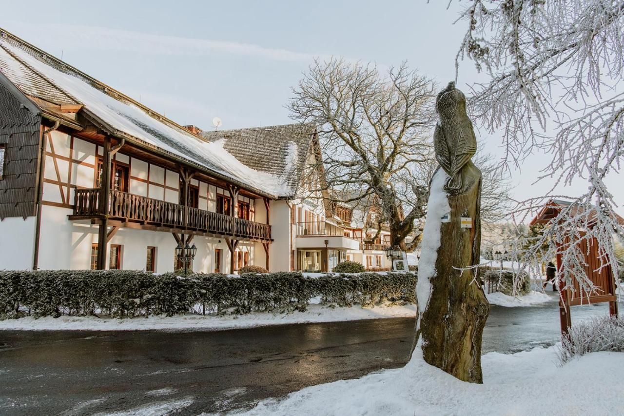 Waldhotel Kreuztanne Sayda Exterior photo